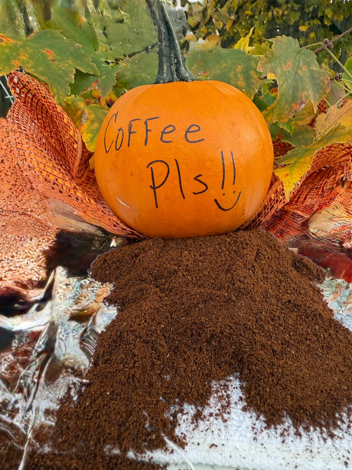 Pumpkin Pls! (Seasonal)