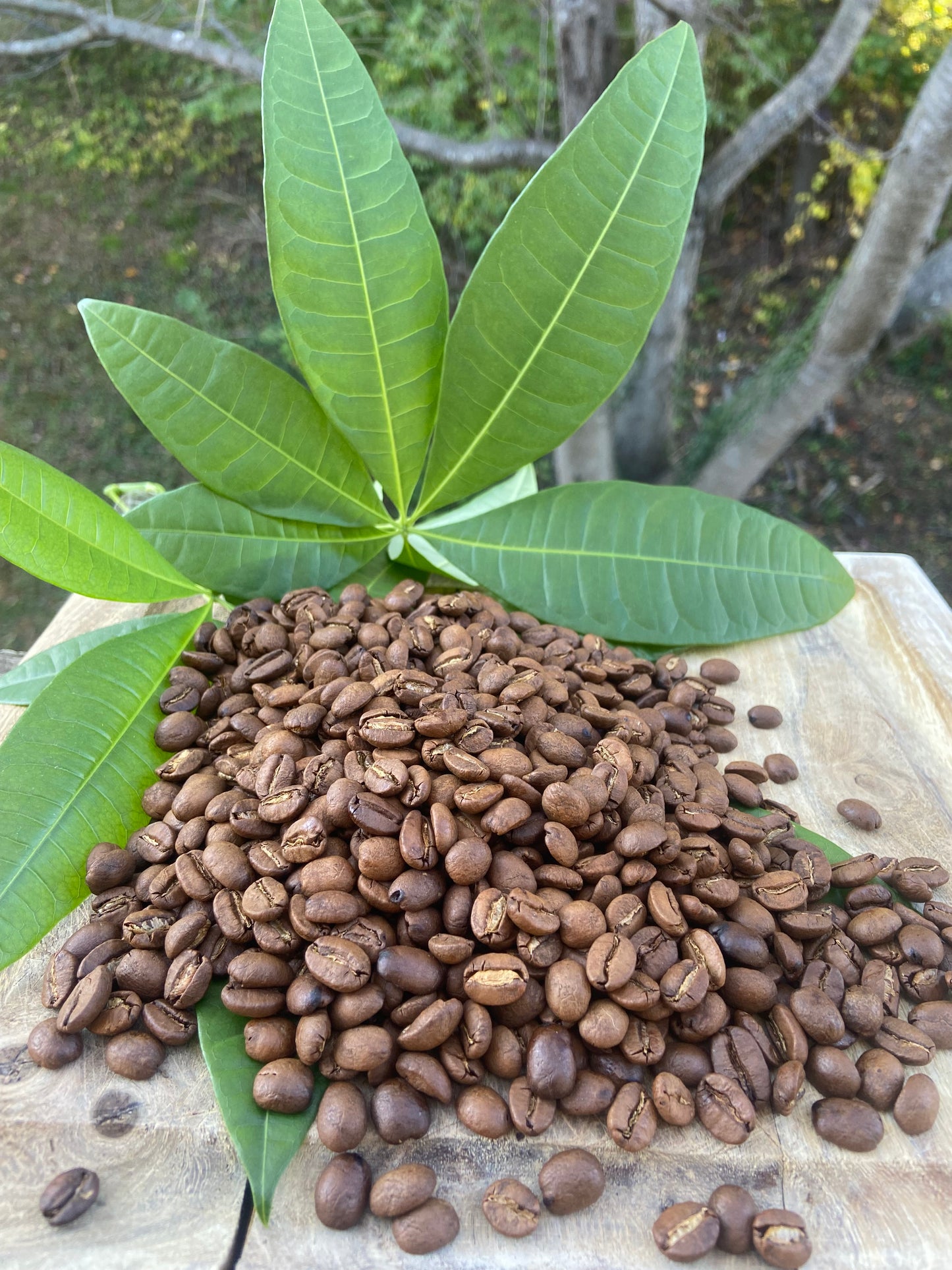 Jamaican Blue Mountain