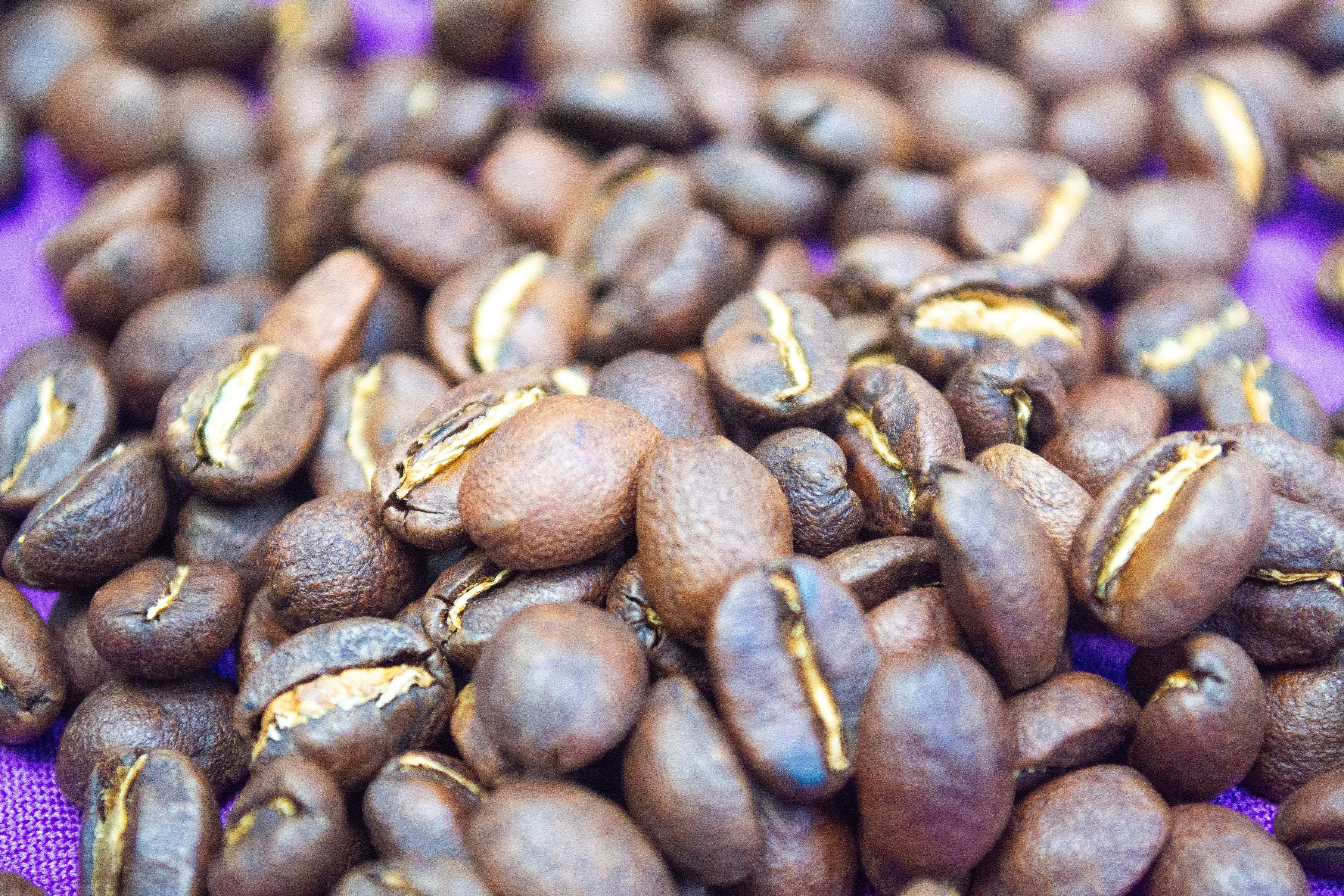 Ethiopian Desta!