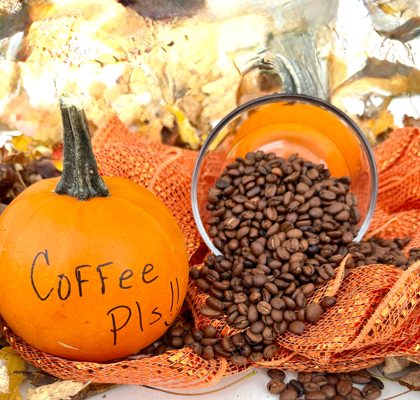 Pumpkin Pls! (Seasonal)